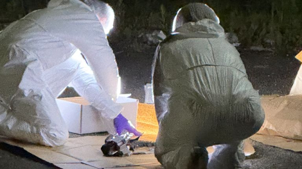 Murder arrest after boy, 16, dies in Sheffield hit-and-run Murder arrest after boy, 16, dies in Sheffield hit-and-run