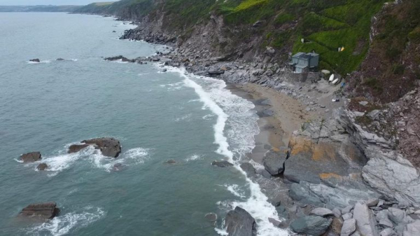Octopus boom along England's southwest coast down to 'perfect storm' Octopus boom along England's southwest coast down to 'perfect storm'