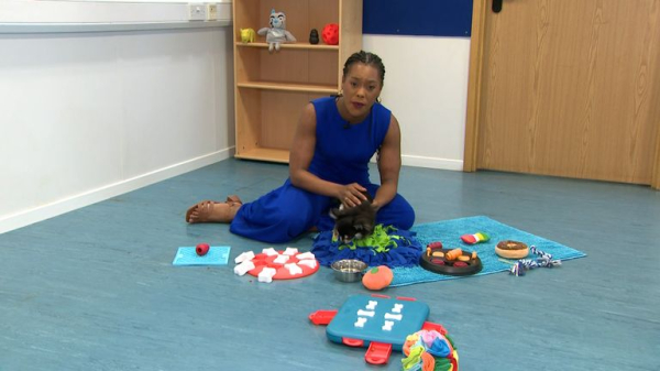 Sunburn isn't just red skin - here's what's happening underneath the burn Sunburn isn't just red skin - here's what's happening underneath the burn