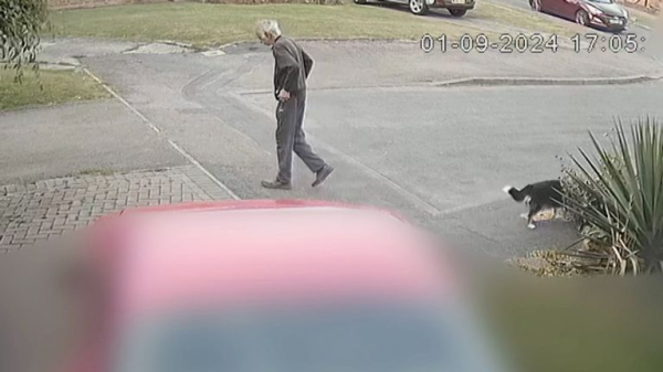 Teenage boy jailed for seven years for killing 80-year-old dog walker - as 13-year-old girl escapes jail sentence Teenage boy jailed for seven years for killing 80-year-old dog walker - as 13-year-old girl escapes jail sentence