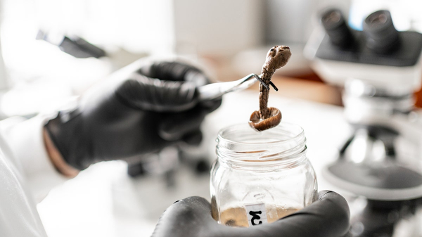 The key to living longer could be tied to a surprising substance, study suggests The key to living longer could be tied to a surprising substance, study suggests