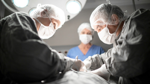 Organ donors' lives endangered by rushed transplant procedures, investigation finds Organ donors' lives endangered by rushed transplant procedures, investigation finds