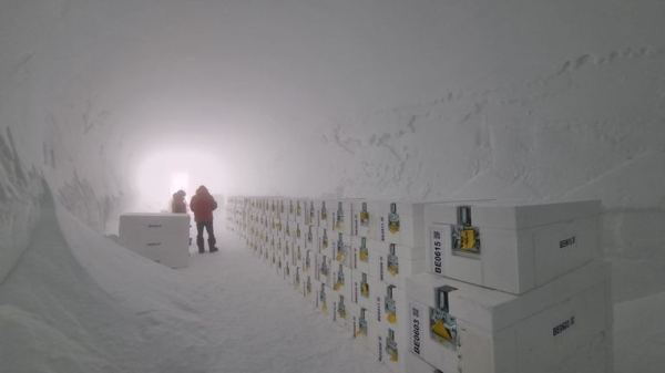 Antarctica's oldest ice arrives in UK for analysis on climate shifts