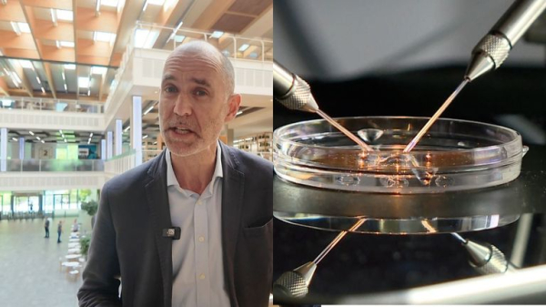 Babies born with DNA from three people in the UK - to prevent 'devastating' illness with no cure Babies born with DNA from three people in the UK - to prevent 'devastating' illness with no cure