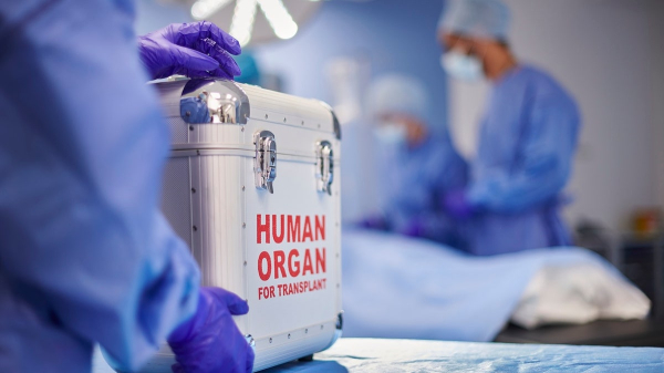 Organ donors' lives endangered by rushed transplant procedures, investigation finds Organ donors' lives endangered by rushed transplant procedures, investigation finds