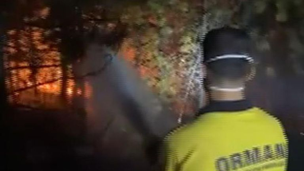 Firefighters tackle blazes as wildfires break out in Greece, Turkey and Albania Firefighters tackle blazes as wildfires break out in Greece, Turkey and Albania