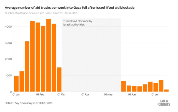 Inside Gaza's Nasser Hospital - where there's virtually no food for malnourished children