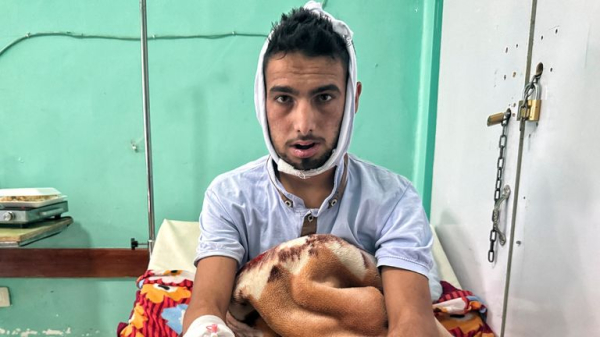 Rows of decomposing bodies that haven't been buried because of fierce fighting in Syrian city