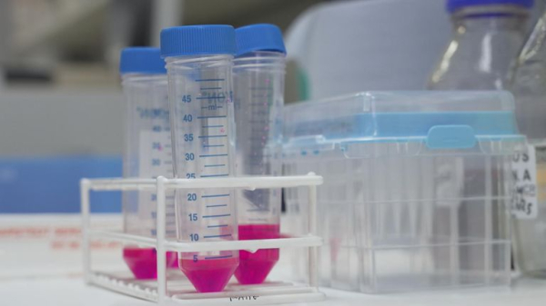 We are entering 'golden age' of cancer treatment - and also facing a less gilded era too