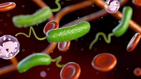 More cases of deadly ‘flesh-eating’ bacterial infection in popular vacation destination More cases of deadly ‘flesh-eating’ bacterial infection in popular vacation destination