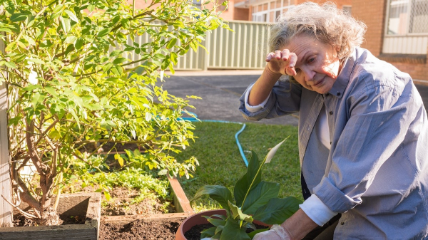 Extreme heat creates 'recipe for disaster' for vulnerable seniors, expert warns Extreme heat creates 'recipe for disaster' for vulnerable seniors, expert warns