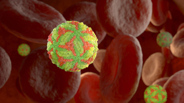 Rare tick-borne virus causing neurological symptoms diagnosed in Northeastern state Rare tick-borne virus causing neurological symptoms diagnosed in Northeastern state