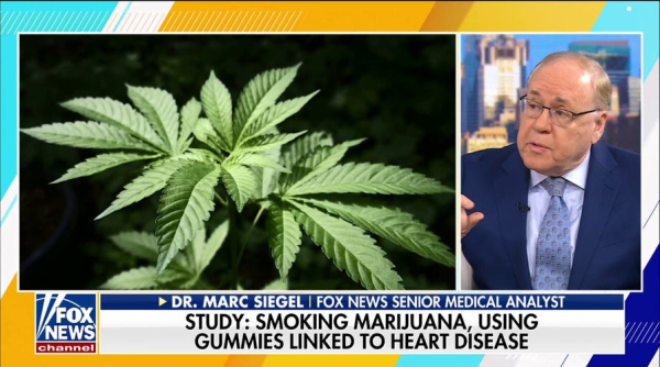 Cannabis gummy poisonings surge among vulnerable group, experts warn