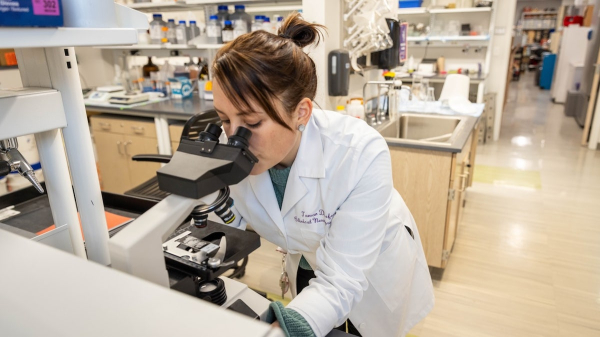 Study reveals why ‘super agers’ maintain ‘outstanding memory’ into their 80s Study reveals why ‘super agers’ maintain ‘outstanding memory’ into their 80s