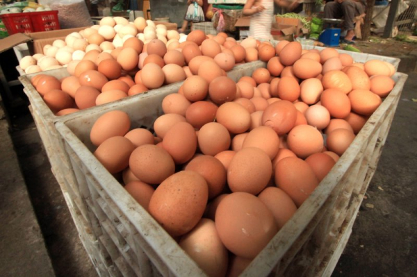 Egg recall linked to 18 hospitalizations Egg recall linked to 18 hospitalizations