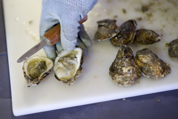 Flesh-eating bacteria from oysters kills two in Louisiana Flesh-eating bacteria from oysters kills two in Louisiana