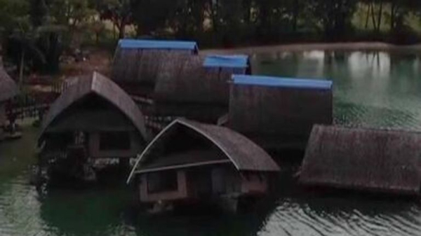 Mystery of what killed billions of starfish solved, say scientists Mystery of what killed billions of starfish solved, say scientists