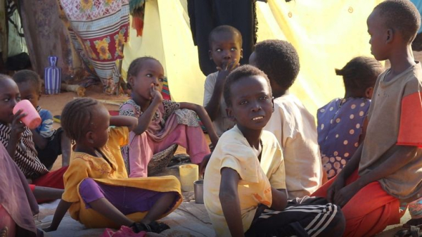 Sudan: Thousands resort to eating animal feed to survive in besieged Al Fashir Sudan: Thousands resort to eating animal feed to survive in besieged Al Fashir
