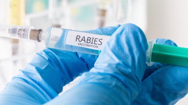 Deadly rabies cases pose public health threat across US, experts warn Deadly rabies cases pose public health threat across US, experts warn