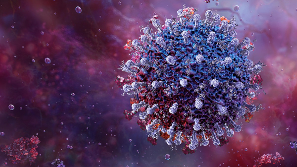 New virus strain spikes in 9 US states with symptoms from brain fog to persistent cough New virus strain spikes in 9 US states with symptoms from brain fog to persistent cough