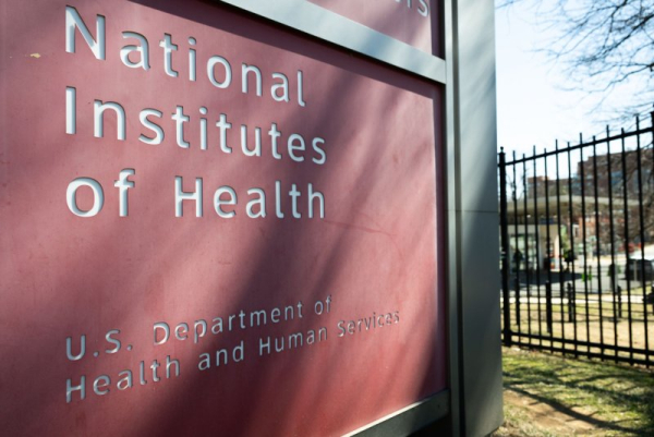 New NIH panel seeks to reduce 'preventable' stillbirths in U.S. New NIH panel seeks to reduce 'preventable' stillbirths in U.S.