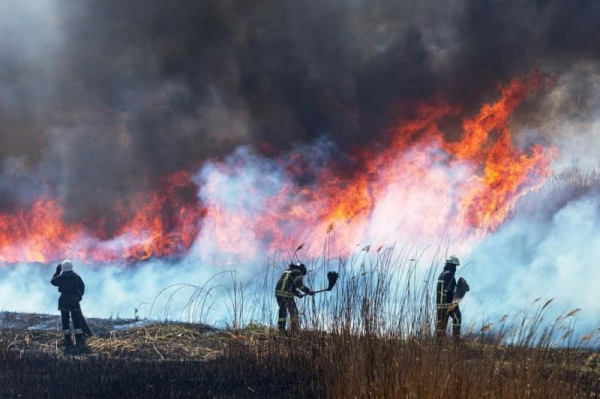 Study: Wildfire smoke kills 41K people in U.S. per year Study: Wildfire smoke kills 41K people in U.S. per year