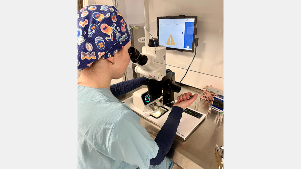 Robots power breakthrough in pregnancy research, boosting IVF success rates