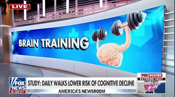 Scientists uncover how some 80-year-olds have the memory of 50-year-olds Scientists uncover how some 80-year-olds have the memory of 50-year-olds