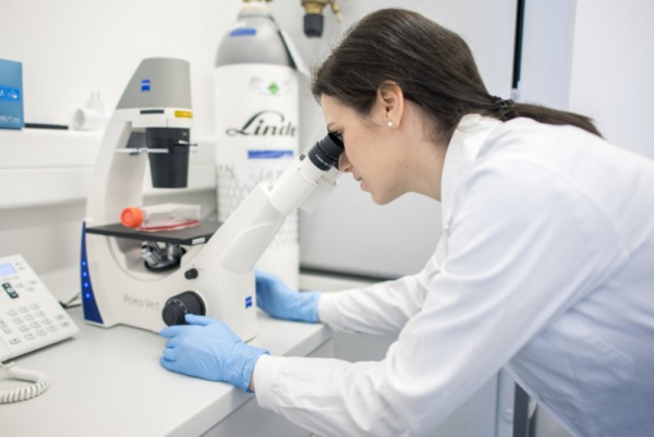 Study finds most successful IVF treatments after 40 use donor eggs Study finds most successful IVF treatments after 40 use donor eggs