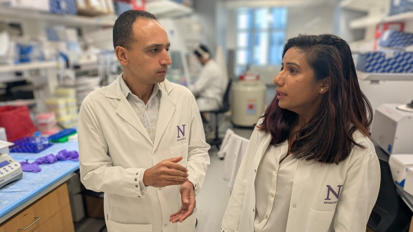 New pancreatic cancer treatment ‘wakes up’ immune cells, researchers say New pancreatic cancer treatment ‘wakes up’ immune cells, researchers say