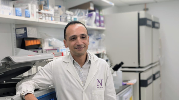 New pancreatic cancer treatment ‘wakes up’ immune cells, researchers say New pancreatic cancer treatment ‘wakes up’ immune cells, researchers say