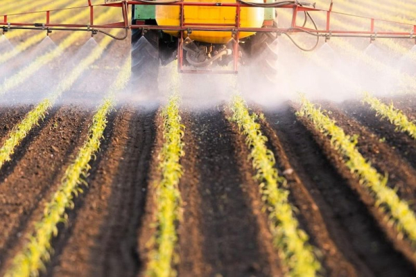 Research suggests pesticides are harmful to gut microbes Research suggests pesticides are harmful to gut microbes