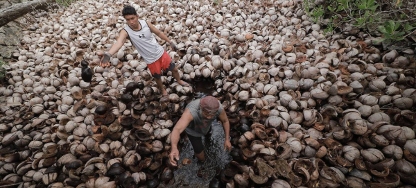 From bagpipes to salt-making, UNESCO honours endangered culture passed down through generations
From bagpipes to salt-making, UNESCO honours endangered culture passed down through generations