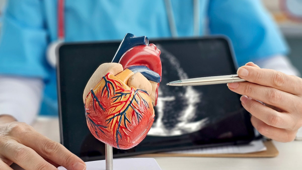 Men with 'beer bellies' may face serious heart damage regardless of weight