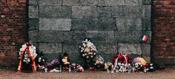 &lsquo;We must stand up for our shared humanity - each and every day&rsquo;: UN human rights chief
