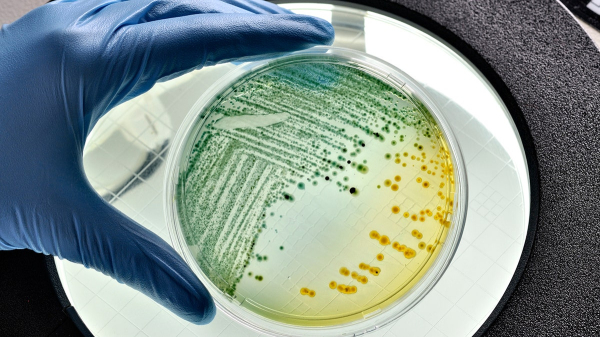 Space experiments reveal new way to fight drug-resistant superbugs, scientists say