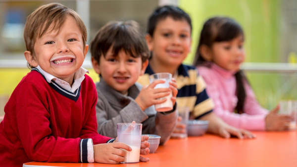 Whole milk headed back to school cafeterias after Trump signs law as experts tout benefits