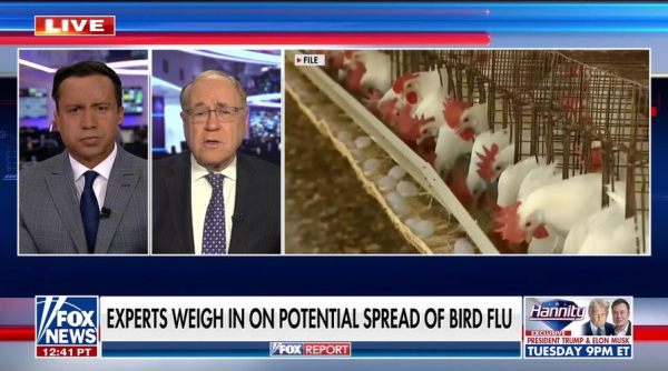 Colorado declares disaster emergency as presumptive bird flu outbreak hits facility with 1.3M chickens