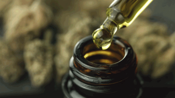 Marijuana compound may help prevent dementia when paired with common drug