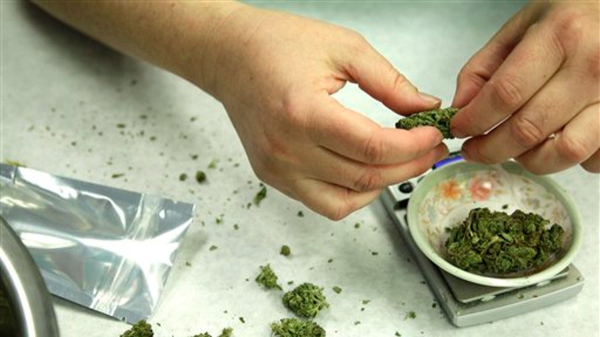 Study challenges negative cannabis stereotypes, claiming link to brain benefits Study challenges negative cannabis stereotypes, claiming link to brain benefits