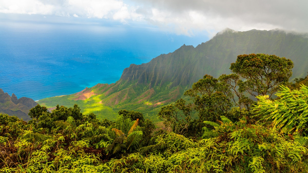 Popular honeymoon destination faces avian malaria threat, spread by mosquitoes