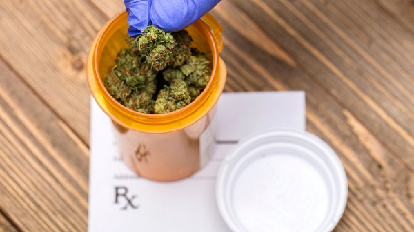 Cannabis compounds could reverse disease affecting one-third of adults