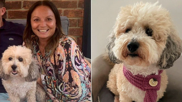Woman&rsquo;s cancer battle takes unbelievable turn when her dog gets same diagnosis