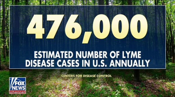 Tick bite ER visits hit highest seasonal level in years as doctors warn of disease surge Tick bite ER visits hit highest seasonal level in years as doctors warn of disease surge