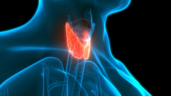 What to know about thyroid cancer prognosis following Pam Bondi's diagnosis