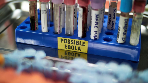 Could Ebola spread to the US? WHO emergency sparks fears after American infected in Congo
